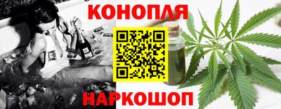 шишки Краснознаменск