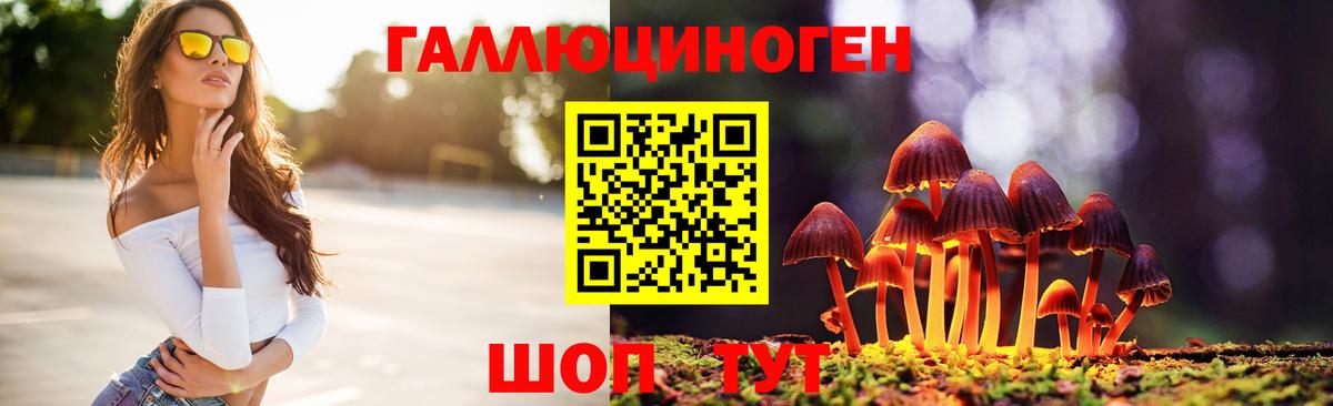 Псилоцибиновые грибы Psilocybine cubensis  Вход с VPN  Галлюциногенные грибы GOLDEN TEACHER  Тара 
